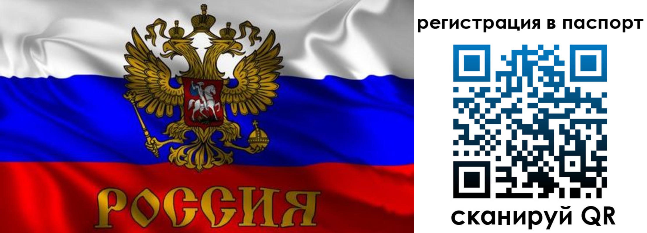 прописка законно в Новошахтинске